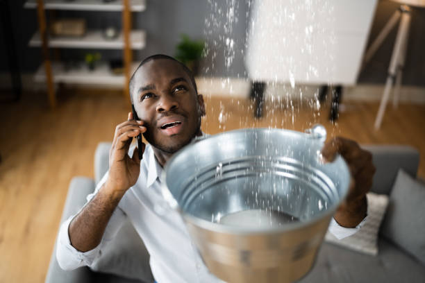 Best Residential water damage restoration  in Bethlehem Village, CT