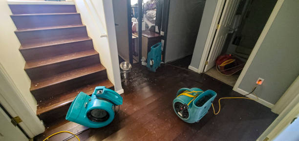 Best Fire Damage Restoration  in Bethlehem Village, CT