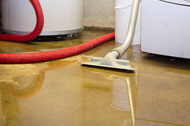 Best Flood damage cleanup  in Bethlehem Village, CT