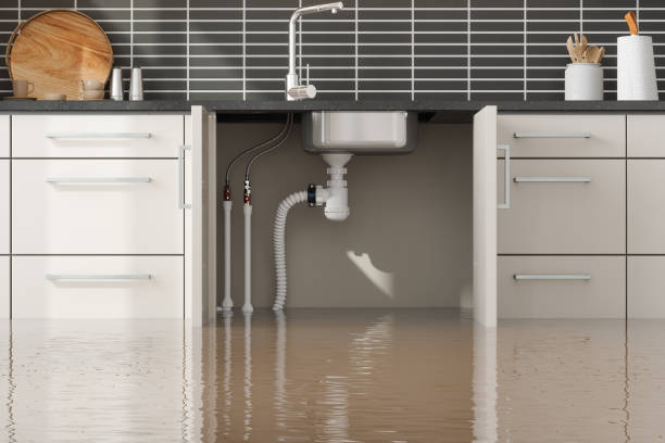 Best Emergency water extraction  in Bethlehem Village, CT