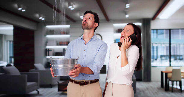 Best Water damage restoration near me  in Bethlehem Village, CT